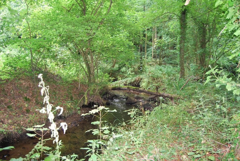 Gite La Chouette Bégard エクステリア 写真